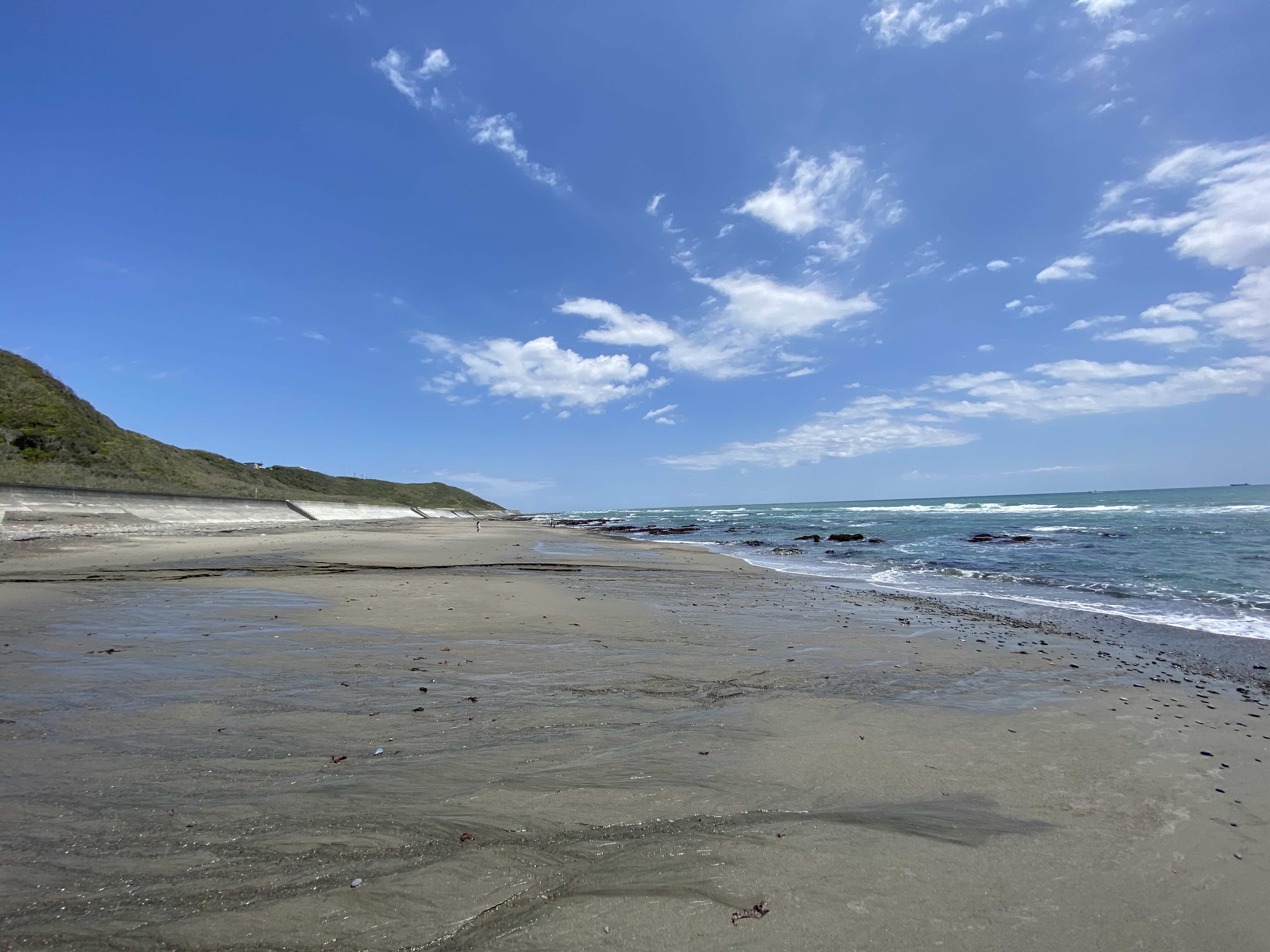 ネットに花を咲かせましょう
