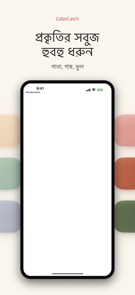 ColorCatch 5