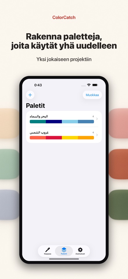 ColorCatch 4