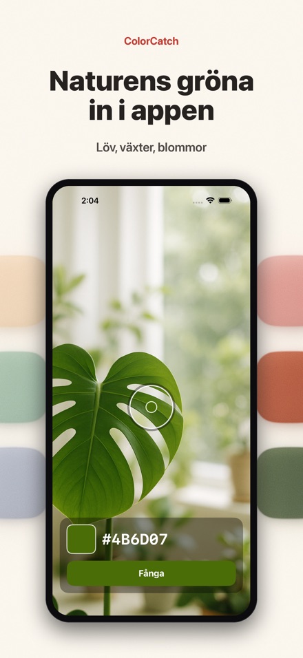ColorCatch 5