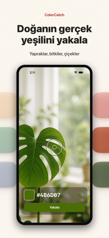 ColorCatch 5