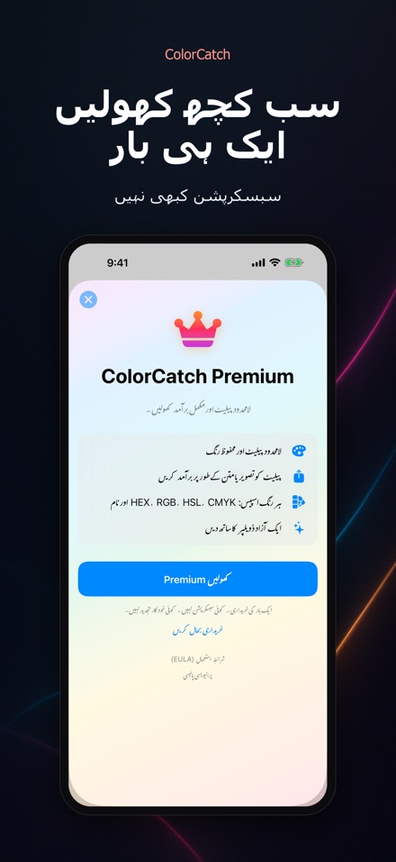 ColorCatch 10