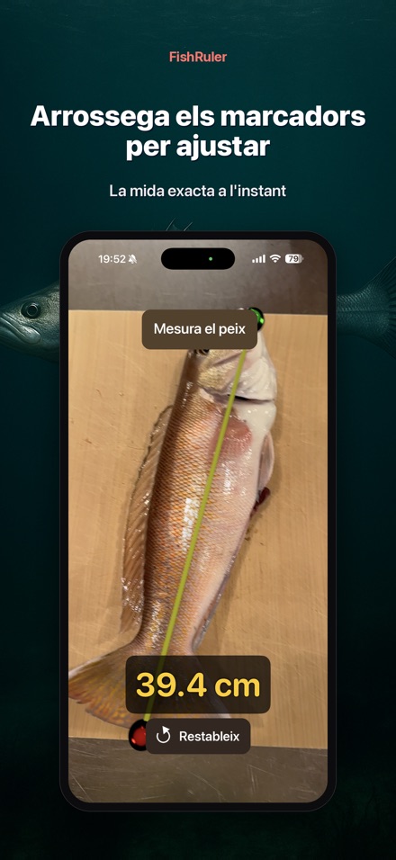FishRuler: mesura peix AR 2