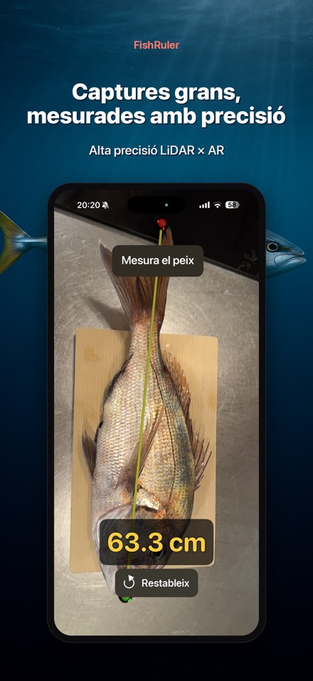 FishRuler: mesura peix AR 3