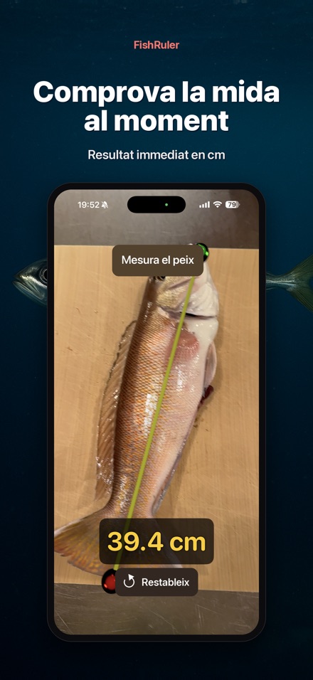 FishRuler: mesura peix AR 5