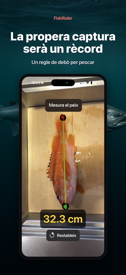 FishRuler: mesura peix AR 10