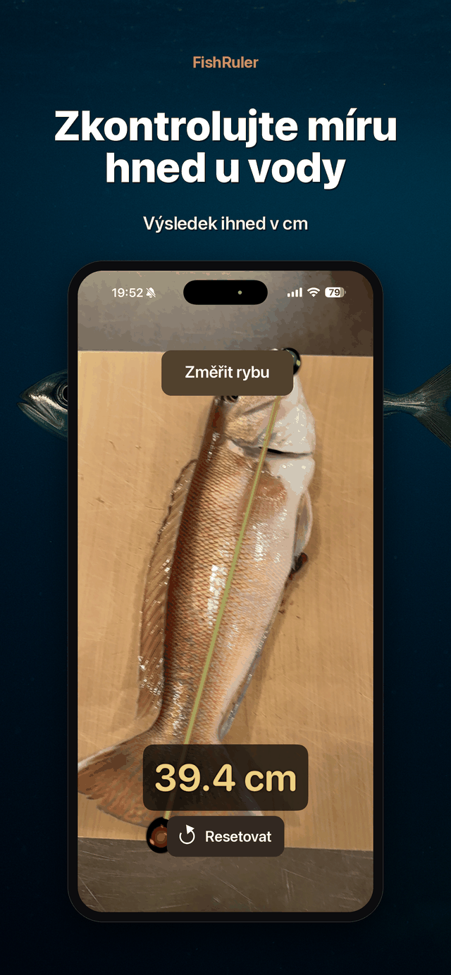 Okamžitý odečet