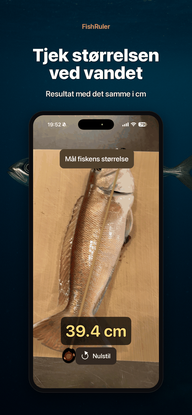 Aflæsning med det samme