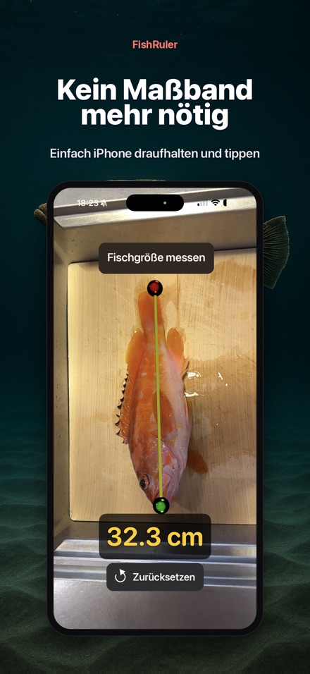 FishRuler: Fisch messen AR 4