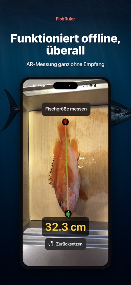FishRuler: Fisch messen AR 7
