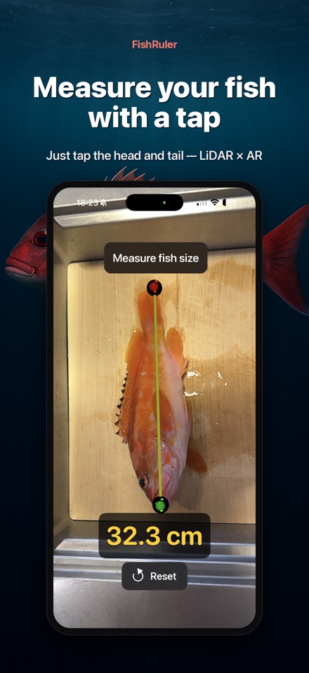 FishRuler: Fish Size Measure