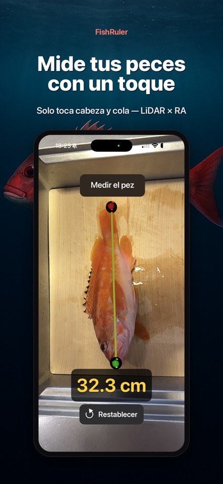 FishRuler: medir capturas