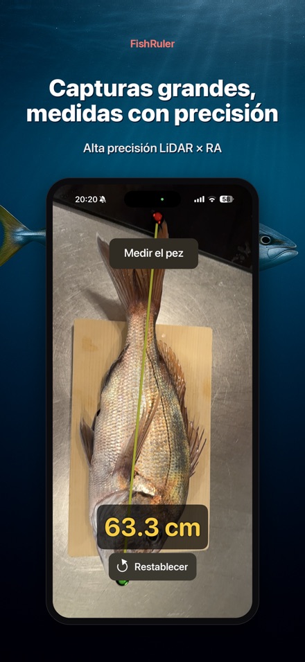 FishRuler: medir capturas 3