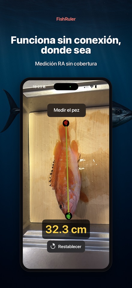 FishRuler: medir capturas 7