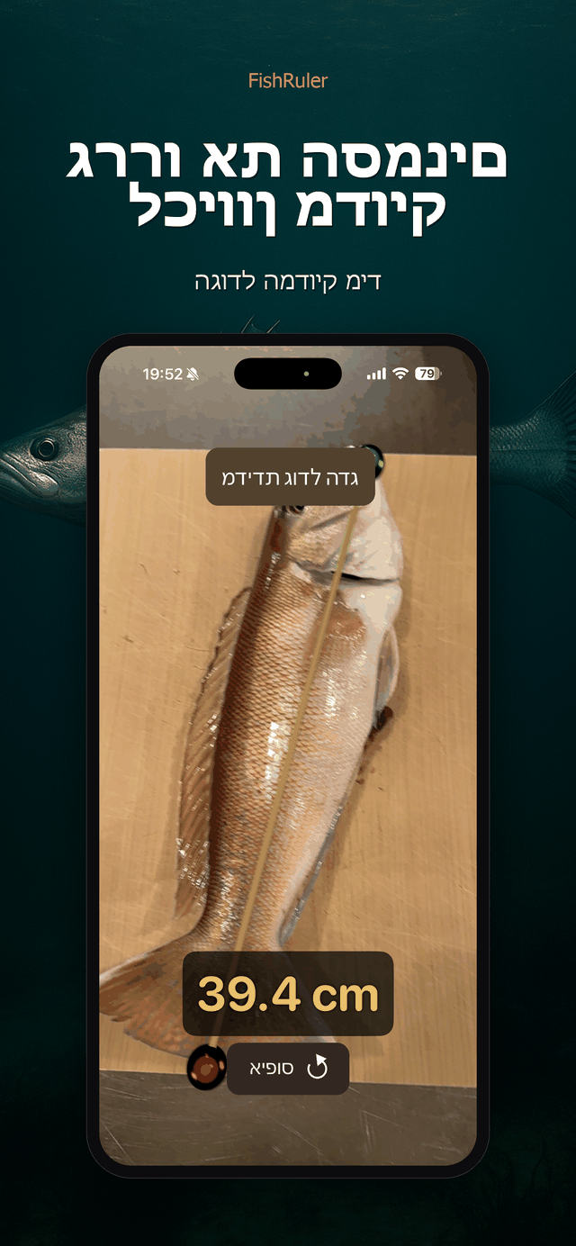 גררו לכוונון עדין