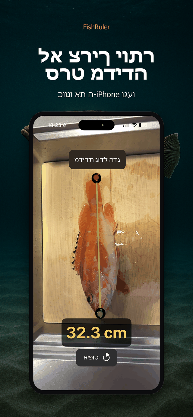 בלי סרט מדידה