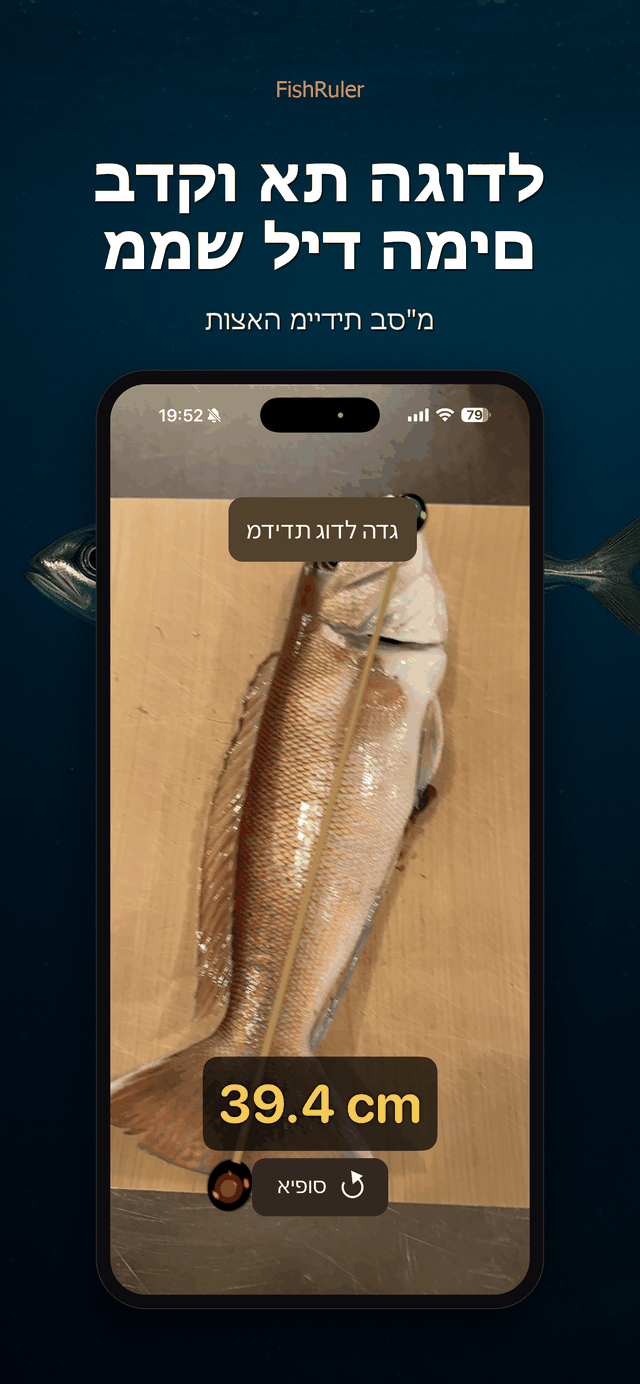 קריאה מיידית
