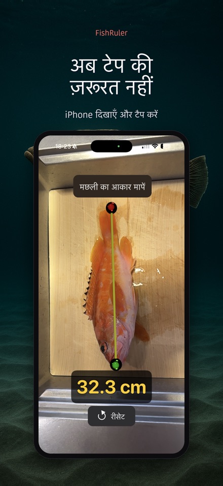 FishRuler: मछली की लंबाई 4