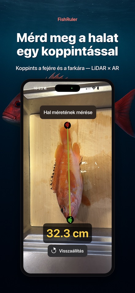 FishRuler: halmérés AR-ral