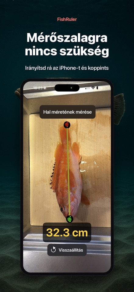 FishRuler: halmérés AR-ral 4