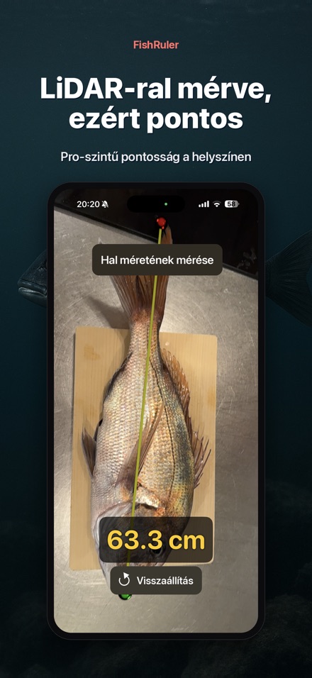 FishRuler: halmérés AR-ral 6