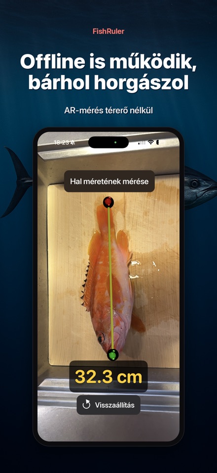 FishRuler: halmérés AR-ral 7