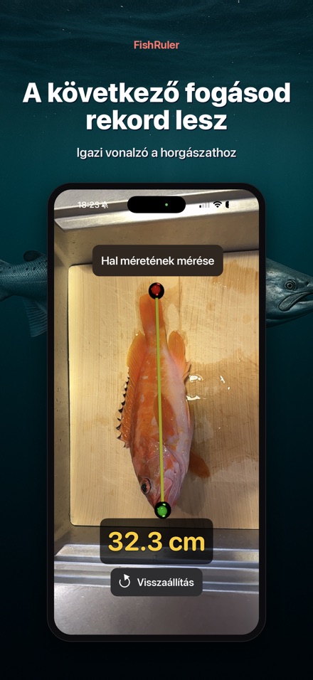 FishRuler: halmérés AR-ral 10
