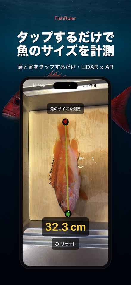 FishRuler：魚のサイズ計測