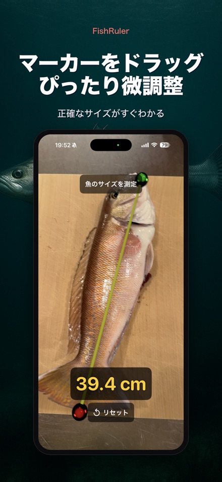 FishRuler：魚のサイズ計測 2