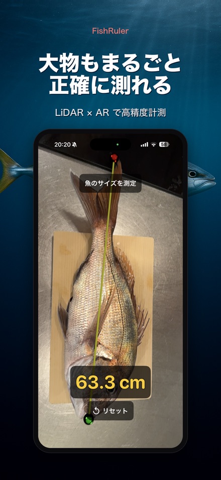 FishRuler：魚のサイズ計測 3