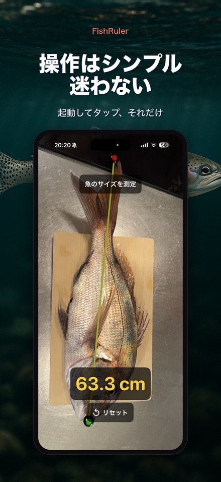 FishRuler：魚のサイズ計測 9