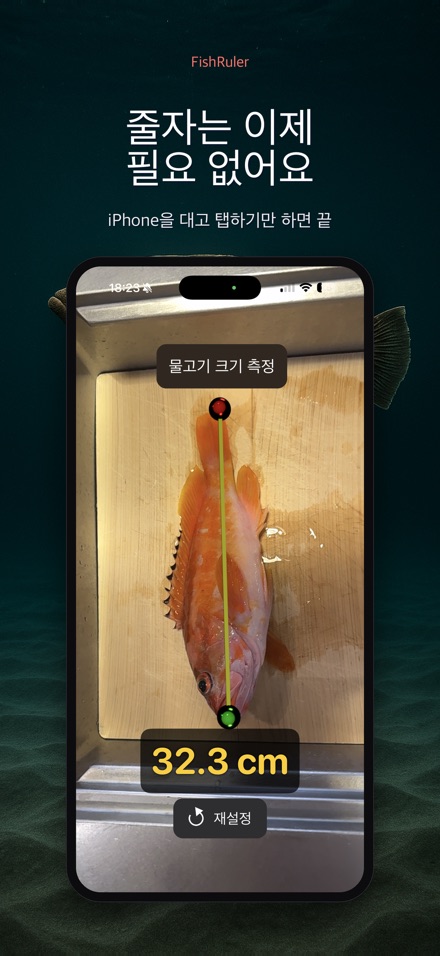 FishRuler: 물고기 크기 측정 4