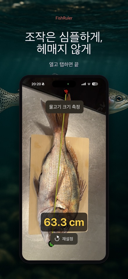 FishRuler: 물고기 크기 측정 9
