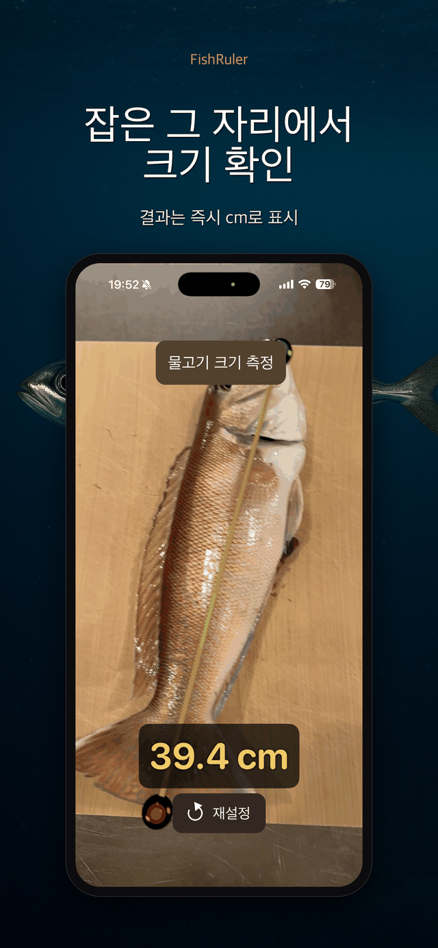 즉시 표시