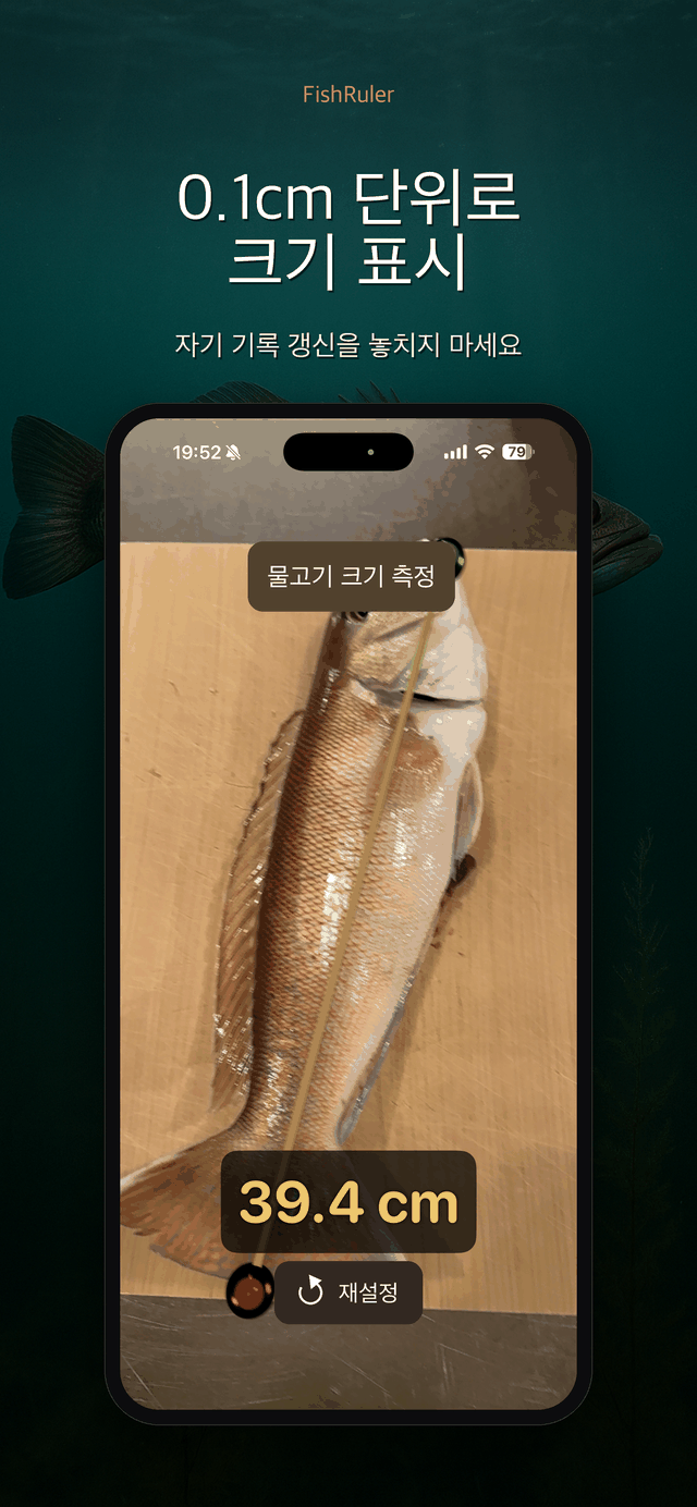 0.1 cm 단위 표시