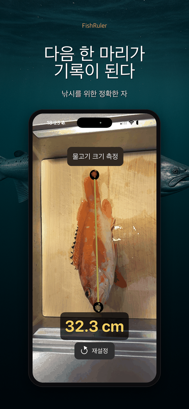 다음 한 마리가 기록으로