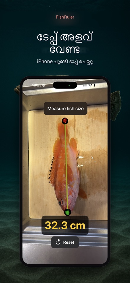 FishRuler: മീൻ അളവ് 4