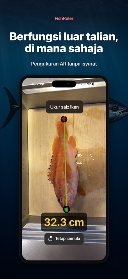 FishRuler: Ukur Panjang Ikan 7