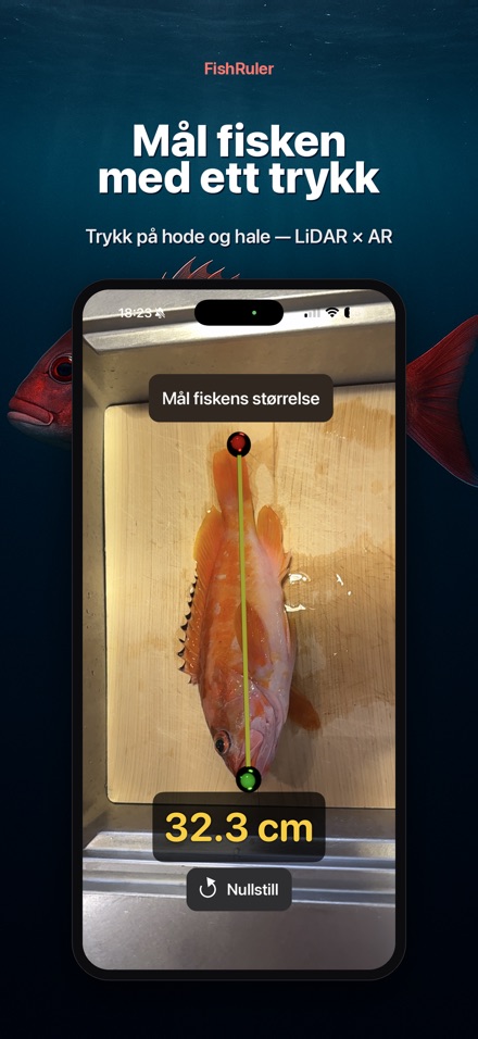 FishRuler: mål fisk i AR