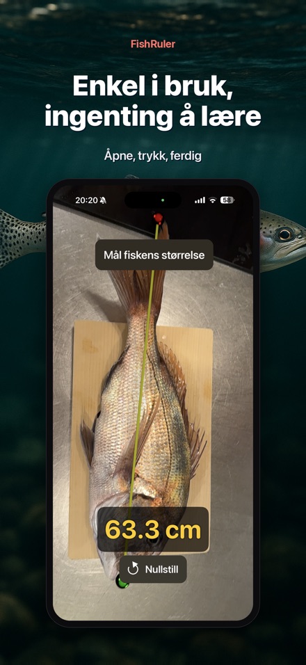 FishRuler: mål fisk i AR 9