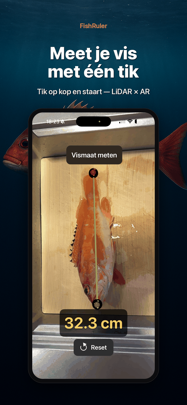Meten met één tik