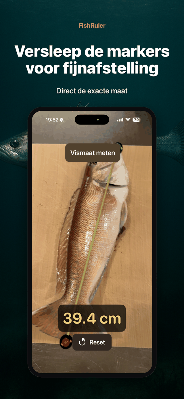 Slepen om bij te stellen