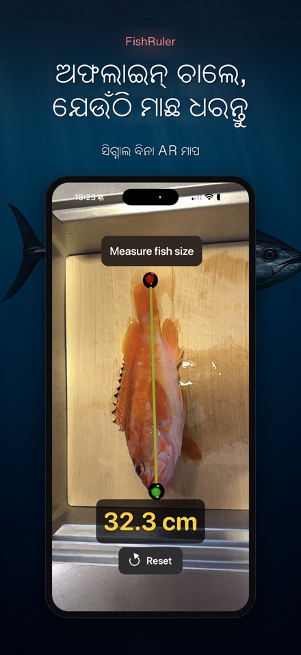 FishRuler: ମାଛ ମାପ 7