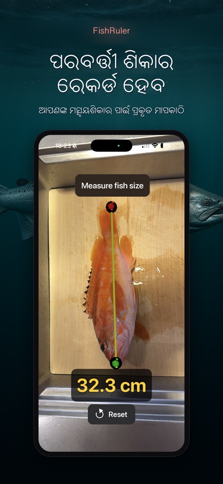 FishRuler: ମାଛ ମାପ 10