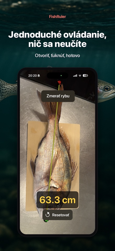 FishRuler: meranie ryby AR 9