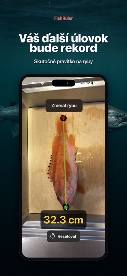 FishRuler: meranie ryby AR 10