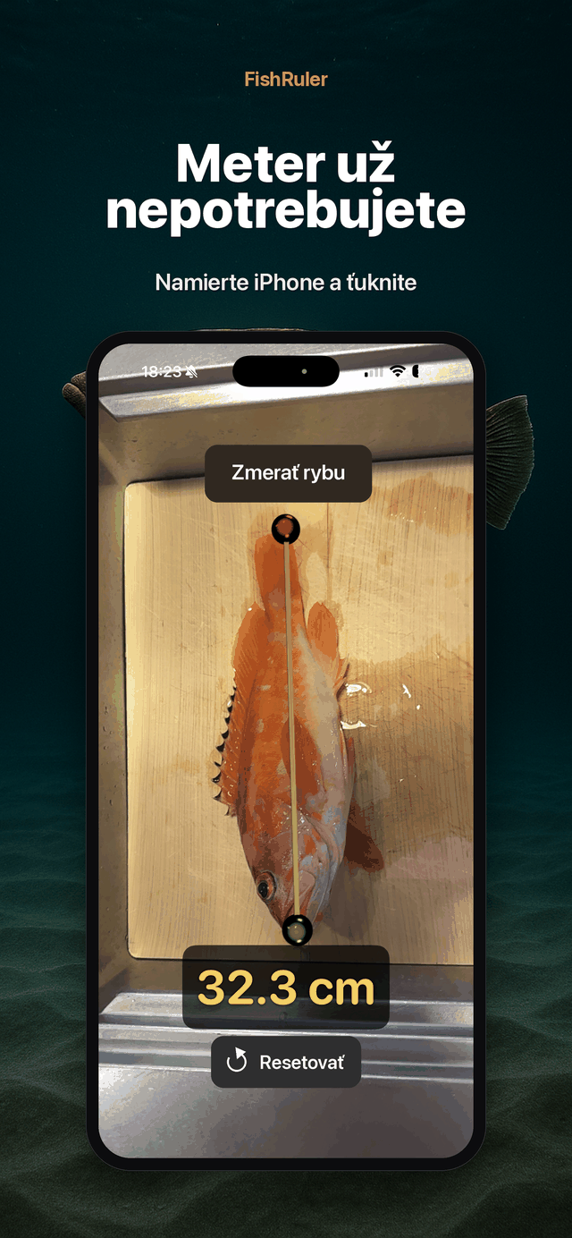 Žiadny meter