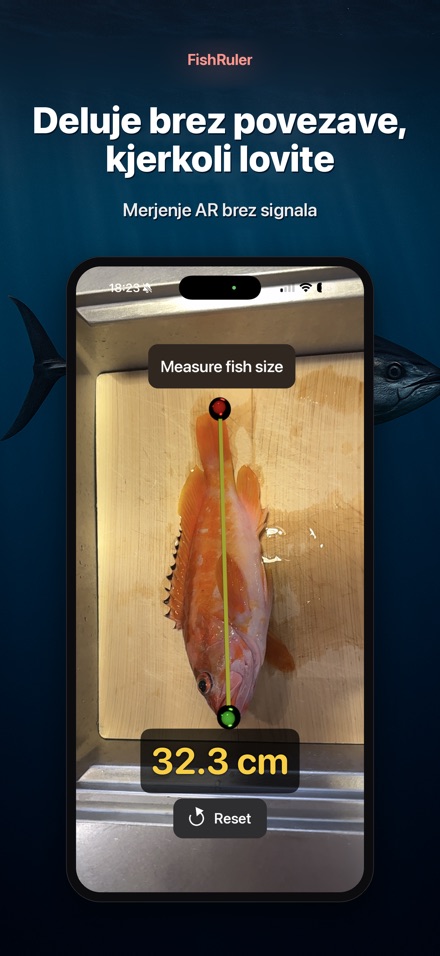 FishRuler: merjenje rib 7