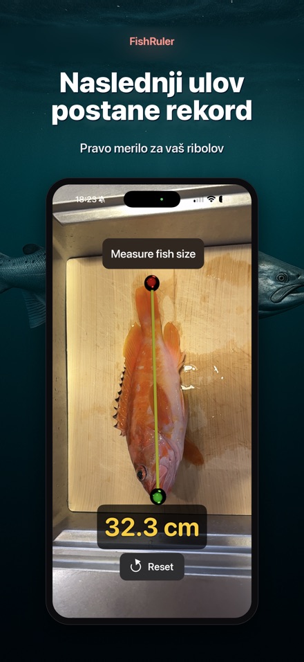 FishRuler: merjenje rib 10