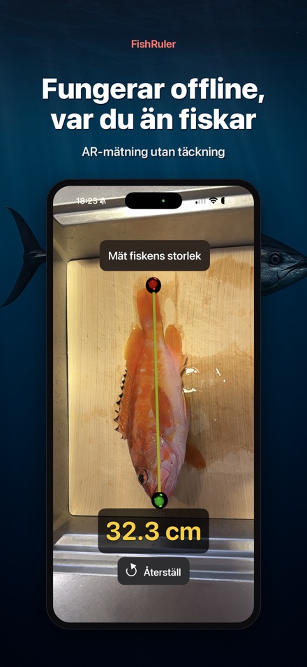 FishRuler: mät fisk i AR 7